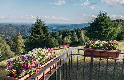 Armeno Cabin | Baita Mael