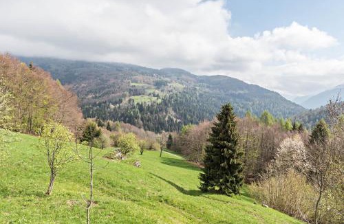 Roncone Ski Chalet | Baita Rustica immersa nel verde