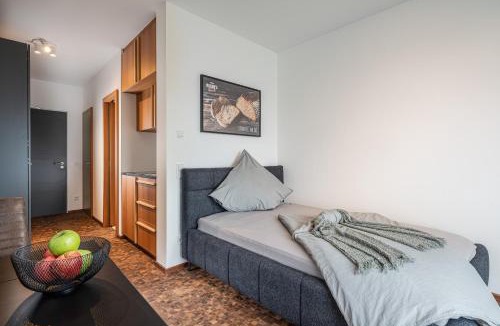 Radau Apartment | Baker`s Home