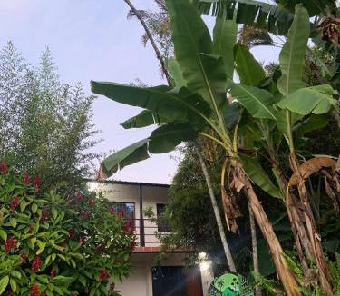 Dagua Apartment | balcon birds ecopolis