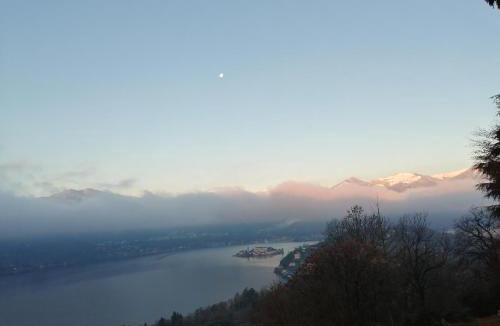 Ameno Apartment | Balconata sul lago