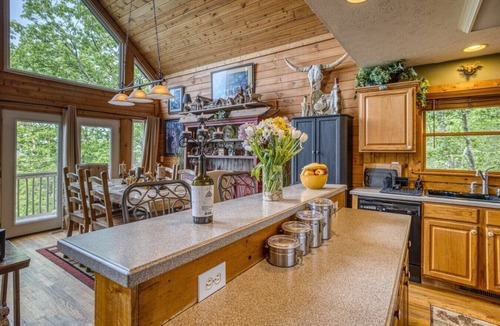 Helen Cabin | Bald Eagle Lodge with `EPIC` Long Range | Mountain Views | Hot-Tub|Pets OK