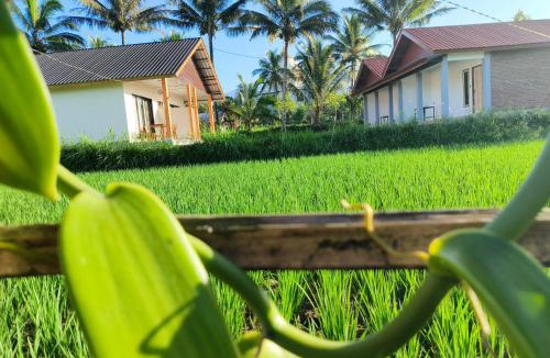 Tetebatu House | Bale Tetebatu