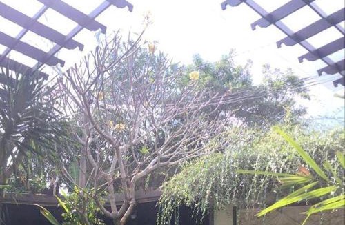 Buduk Villa | Bali Alit Villa