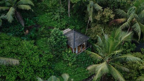 East Selemadeg Cabin | Bali Secret Jungle