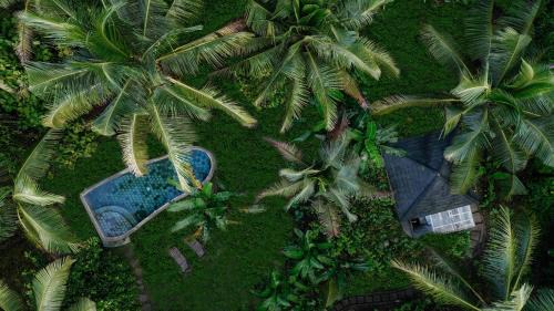 East Selemadeg Cabin | Bali Secret Jungle