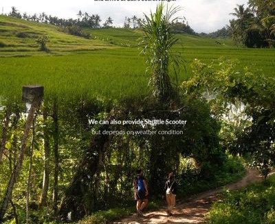 East Selemadeg Cabin | Bali Secret Jungle
