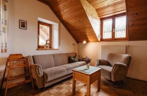Chamerau Apartment | Balsnhof