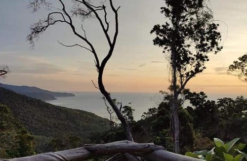 Puerto Princesa Bed & Breakfast | Bamboo house