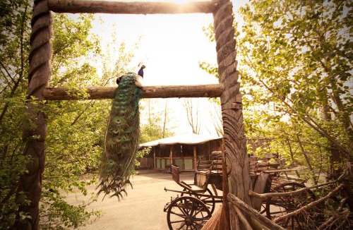 Groningen Bed & Breakfast | Bamboo Lodge Groningen
