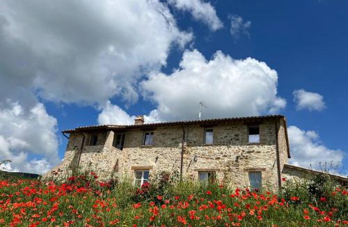 Corbara Villa | Banditella