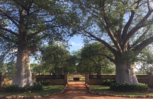 Tomburke Bed & Breakfast | Baobab Lane Lodge