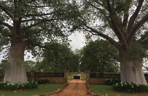 Tomburke Bed & Breakfast | Baobab Lane Lodge