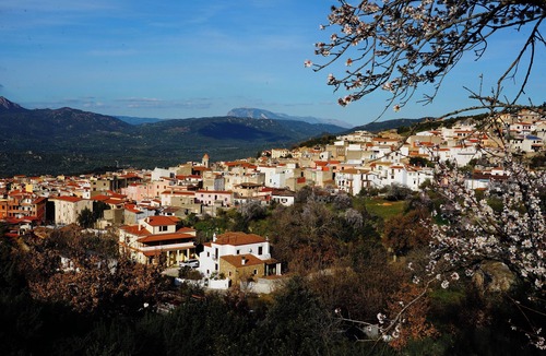 Oliena Apartment | Barbagia between Mountain, Hiking, Cultural Traditions and Sea