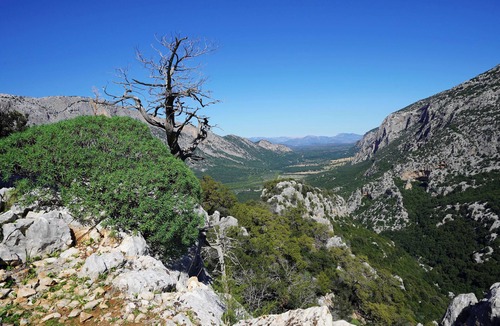 Oliena Apartment | Barbagia between Mountain, Hiking, Cultural Traditions and Sea