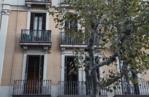 L'Antiga Esquerra de l'Eixample Apartment | Barcelona Eixample