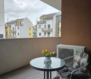 Dumbravita Apartment | Barcelona Residence