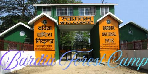 Bardia Other | Bardia Forest Camp