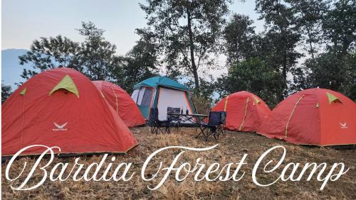 Bardia Other | Bardia Forest Camp