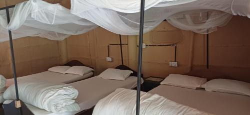 Bardia Hostel | Bardia hostel