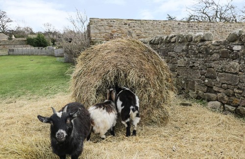 Darlington Cottage | BARFORTH HALL DAIRY, pet friendly, with hot tub in Gainford