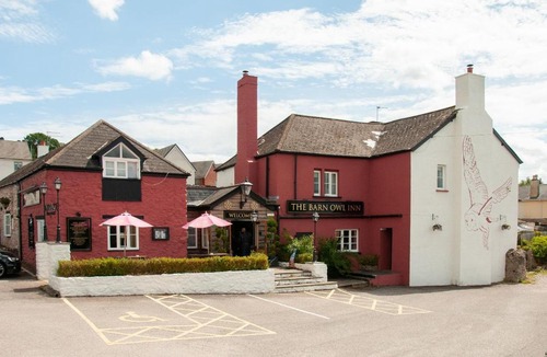 Liverton Hotel | Barn Owl