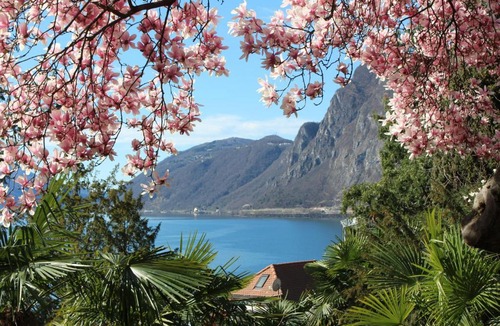 Castagnola Apartment | Barony romantic-residence