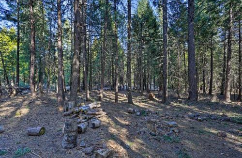 Shingletown House | Base Camp Lassen Home 13 Mi to Volcanic Nat'l Park
