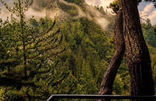Carmen de Carupa Ski Chalet | Basecamp A Boutique Cabin Experience in the Wild