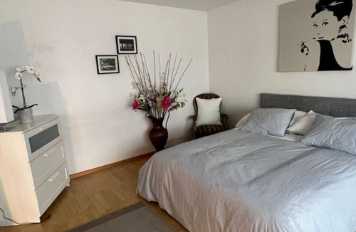 Vorstadte Apartment | Basel Schweiz Apartment 302