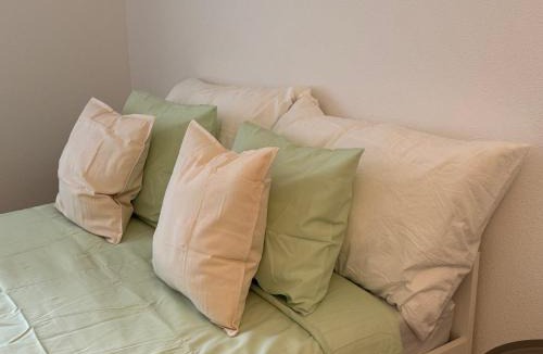 Matthaus House | Baselstad Public Transport Included 10 min Tram to Messe & City Center
