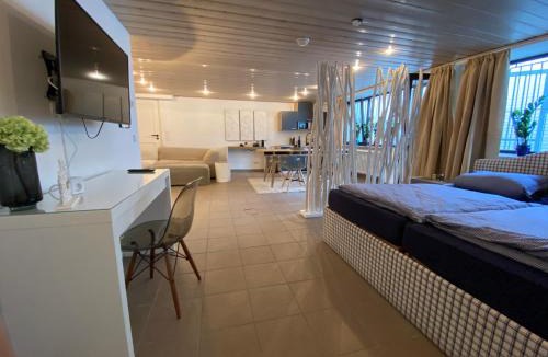 Toenisvorst Apartment | basement 77