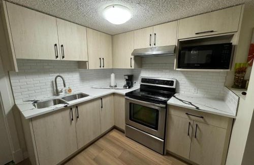 Evanston Apartment | Basement suit