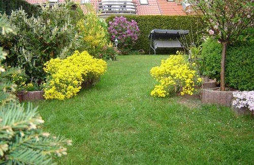 Muritz Apartment | Basement vacation apartment - Holiday apartment - 62944