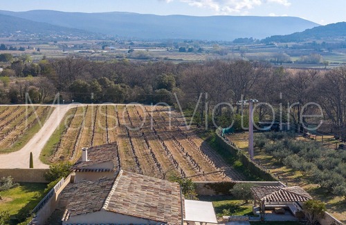 Croagnes House | Bastide-style property with pool and grape vines