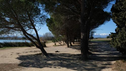 Perpignan House | Bastide le Petit Clos - les 2 Gîtes
