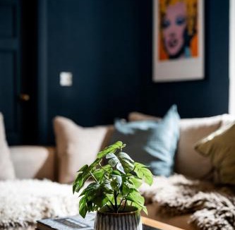 Bath Apartment | BATH Luxury Georgian Flat