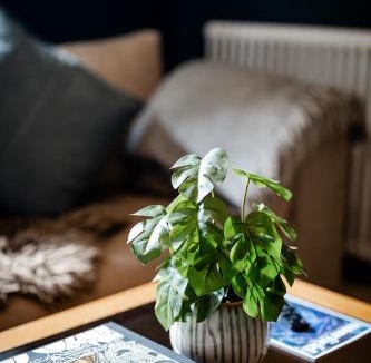 Bath Apartment | BATH Luxury Georgian Flat