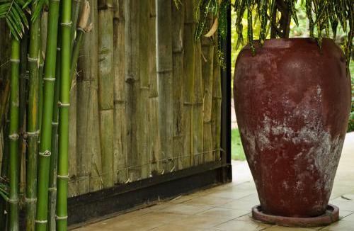Svay Pao Resort | Battambang Resort