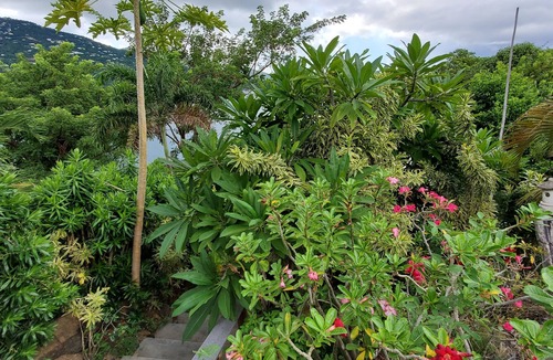 Peterborg House | BATTMAN'S BEACH HOUSE.nWalk to the Beach, See the Views and The Reviews!