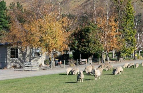 Mackenzie Country House | Bauchops Hill Station Farmstay