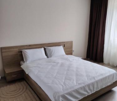 Cluj County Apartment | BAV Dunării