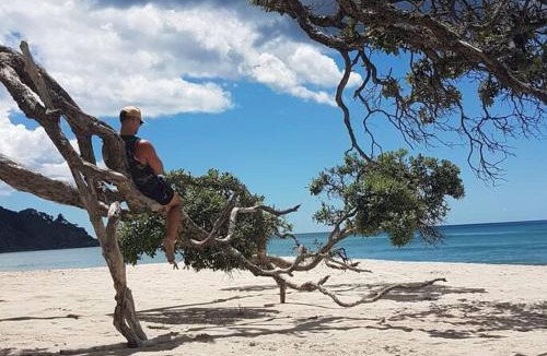 Waihi Beach House | Beach Break Studio Cabin - short walk to beach and cafes