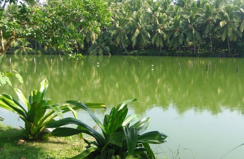 Kovalam Apartment | Beach front apartments with stunning views and spacious accommodation