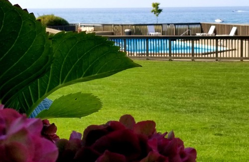 South Haven Condo | Beach Front, Pool, Short walk to Downtown. Look No more! Peaceful Paradise