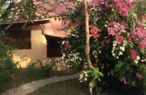 Montezuma House | Beach Front property , with pool. short walking distance from town, lush gardens