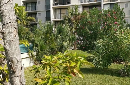 Williams Town Condo | Beach Front Studio For Rent in Freeport Grand Bahamas , Port Lucaya