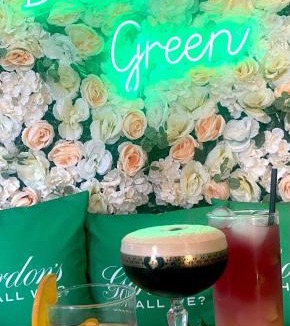Lancing Hotel | Beach Green Hotel