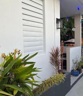 La Pared Apartment | Beach Town 1B Apartment with Social Tropical Vibe - Walk to Beach & Restaurants