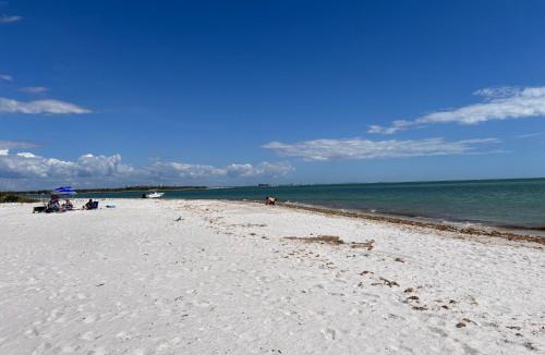 Laguna Shores Apartment | Beach view Pool Home